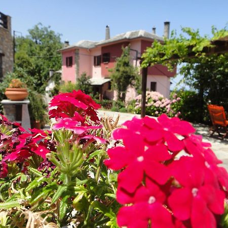 Guesthouse Iris Цагарада Экстерьер фото