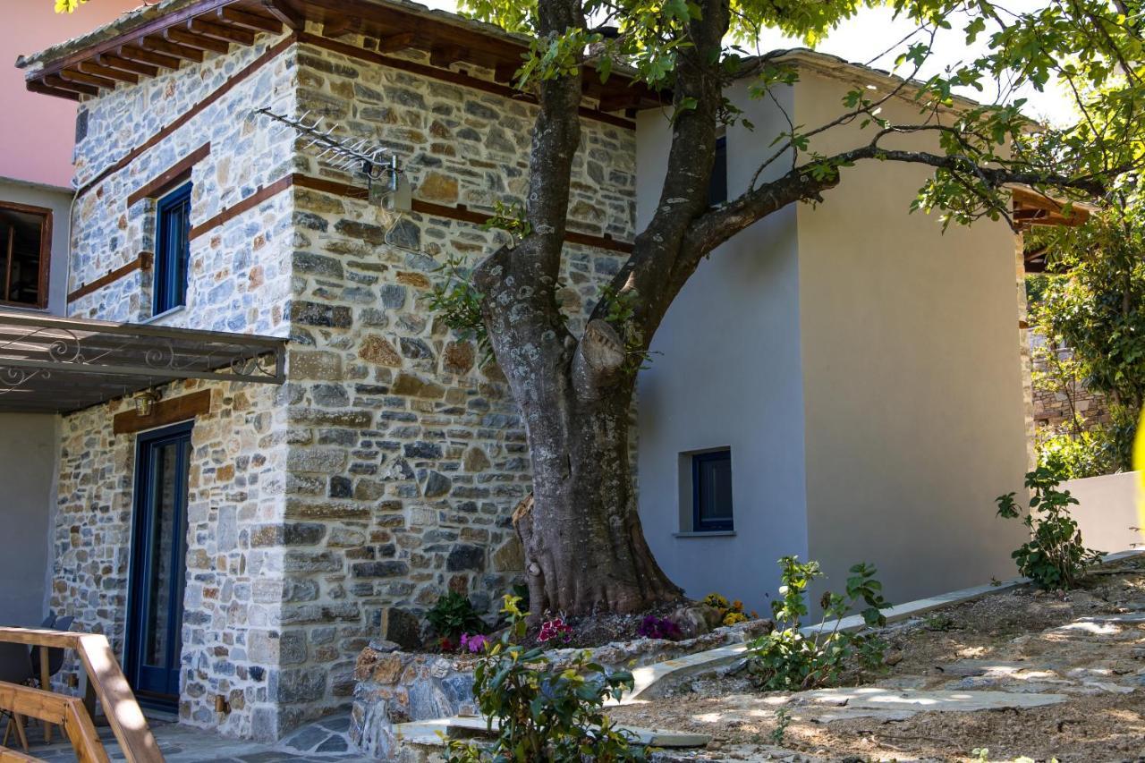 Guesthouse Iris Цагарада Экстерьер фото