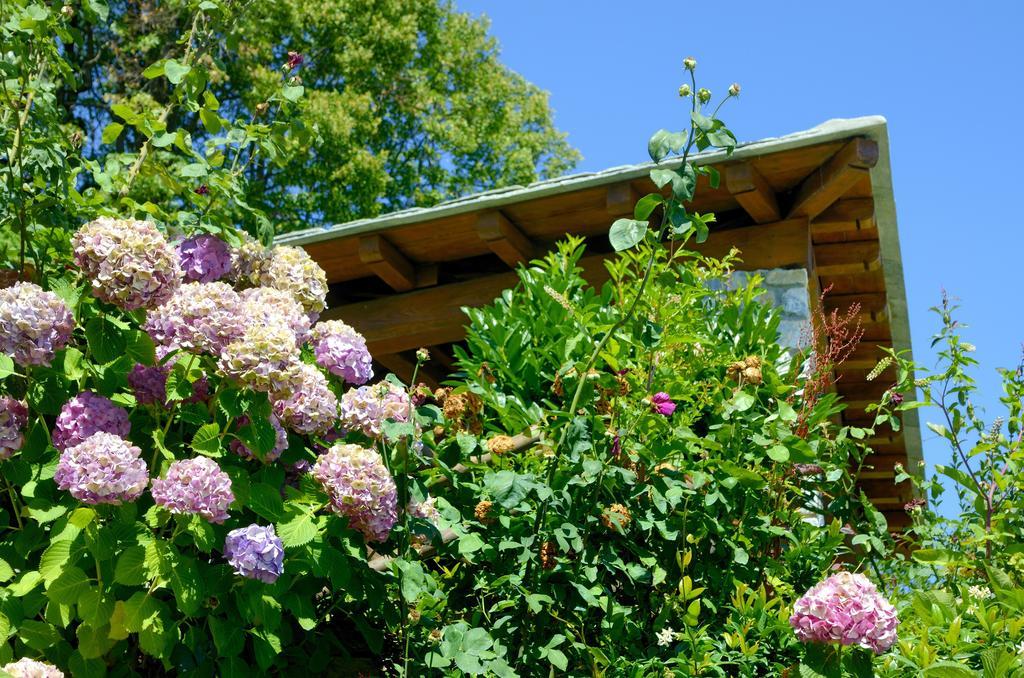 Guesthouse Iris Цагарада Экстерьер фото