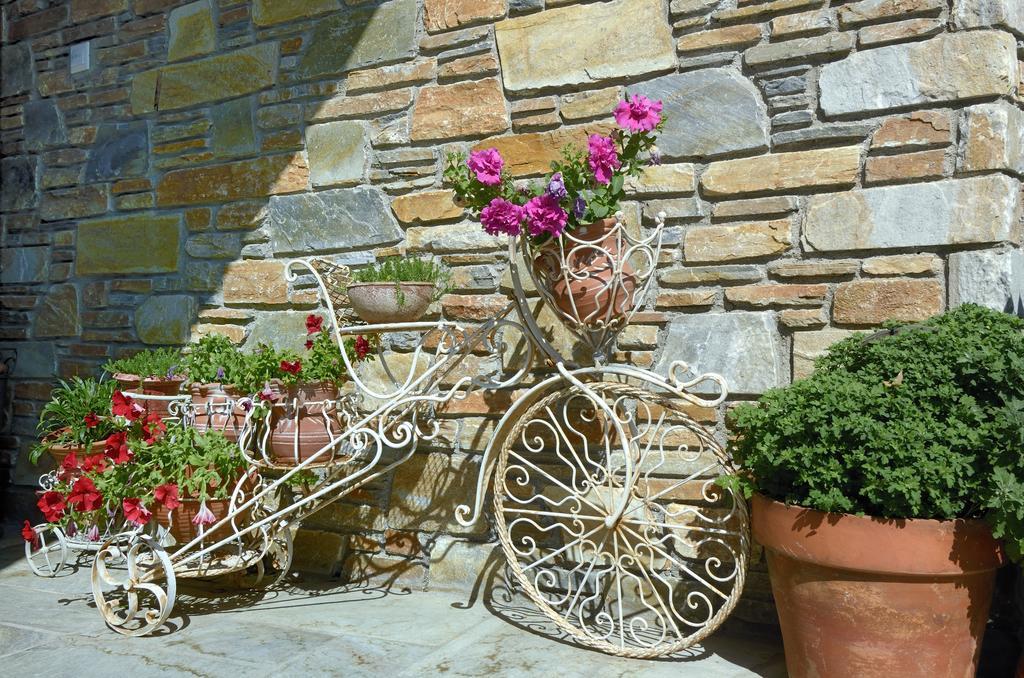 Guesthouse Iris Цагарада Экстерьер фото